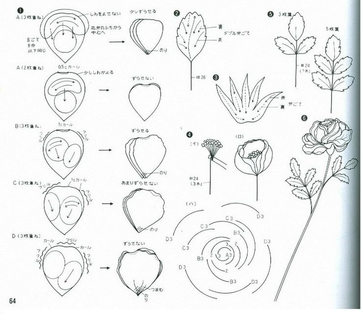 Лепестки ранункулюса шаблон