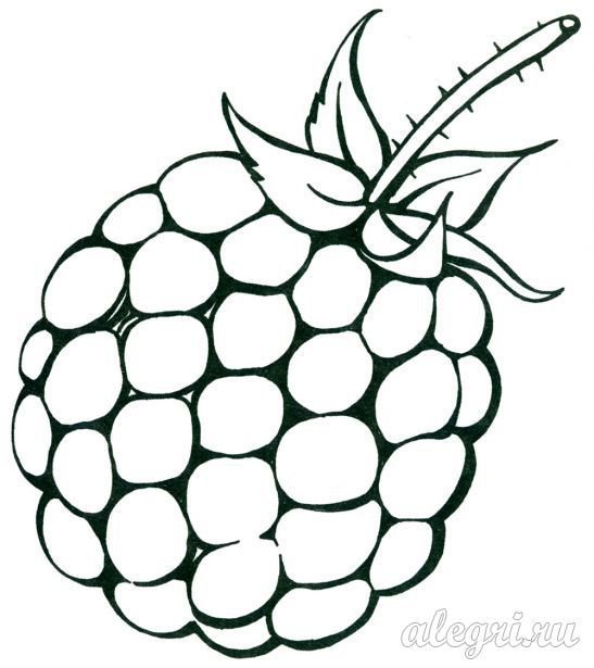 Ягоды рисунок