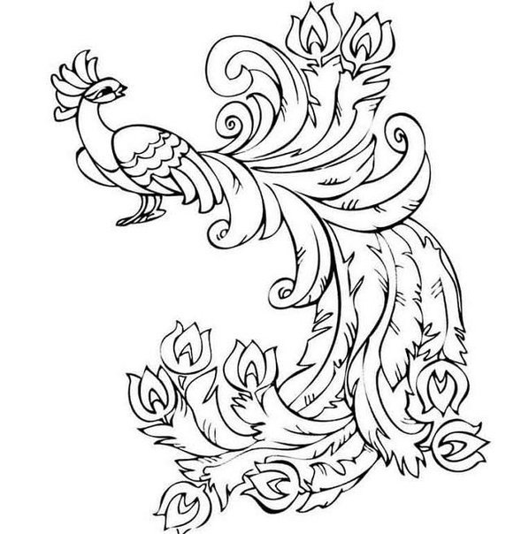 Сказочная птица раскраска для детей