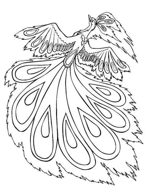 Жар птица раскраска для детей