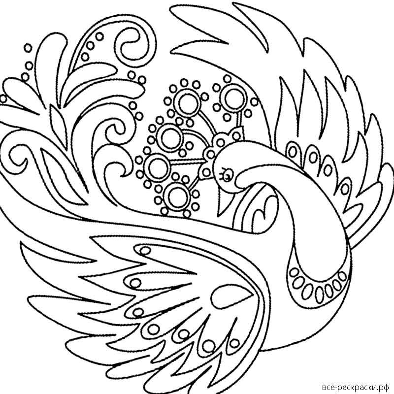 Сказочная птица раскраска