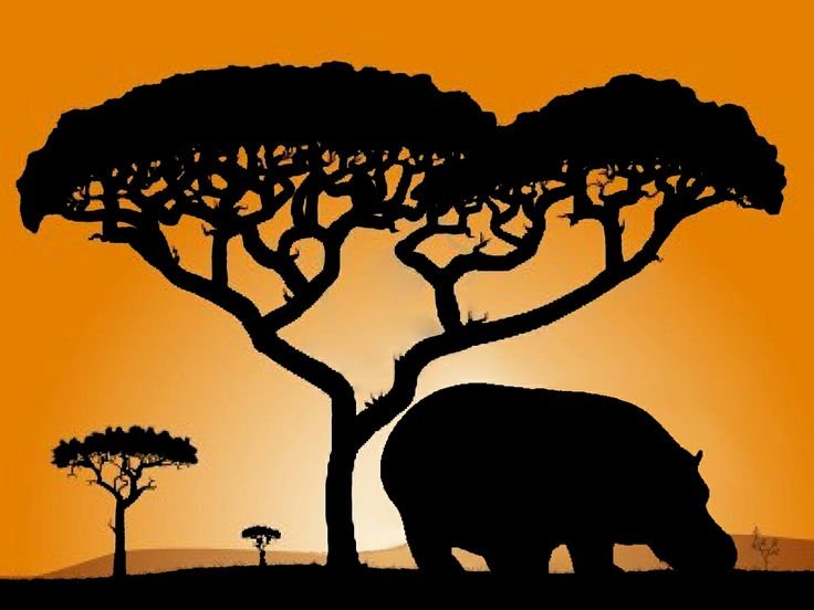 Силуэт африканского дерева