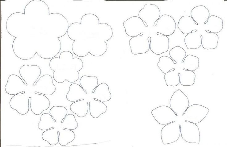 Цветы шаблон для аппликации