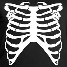 Ребра скелета Кощея Бессмертного