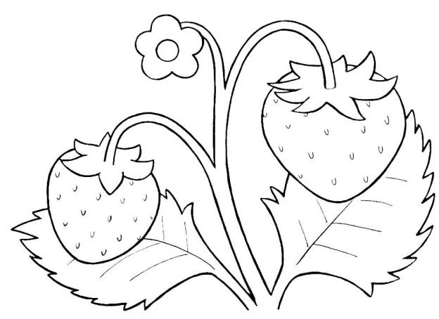 Клубника раскраска