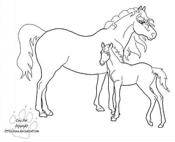 лошадь с жеребенком