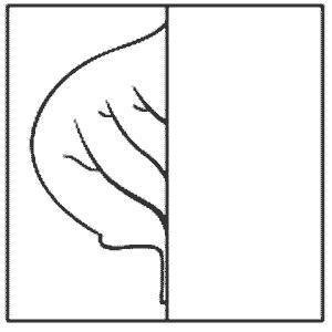 Дорисуй вторую половину