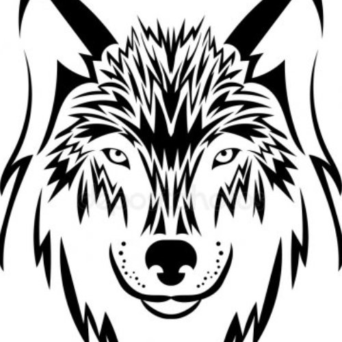 Очертания морды волка