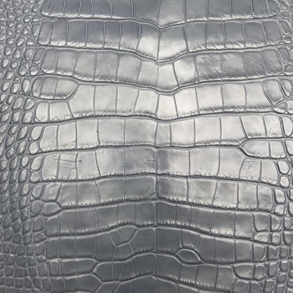 Кожа крокодила рисунок