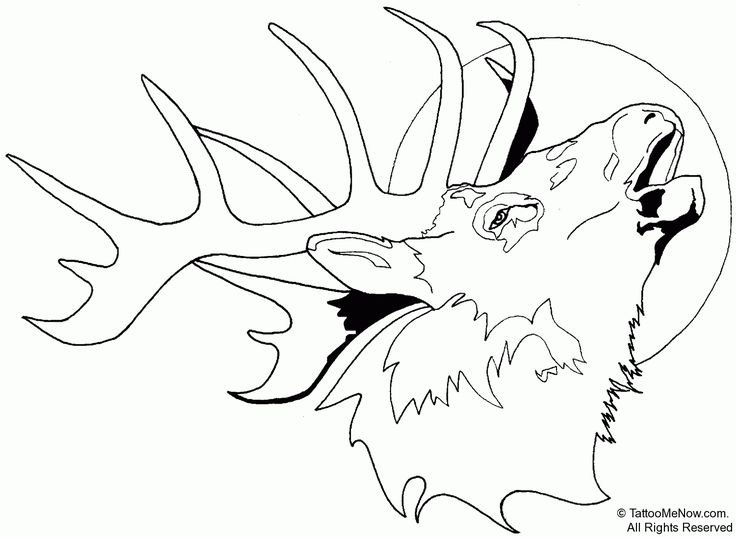 Рисунки для выжигания