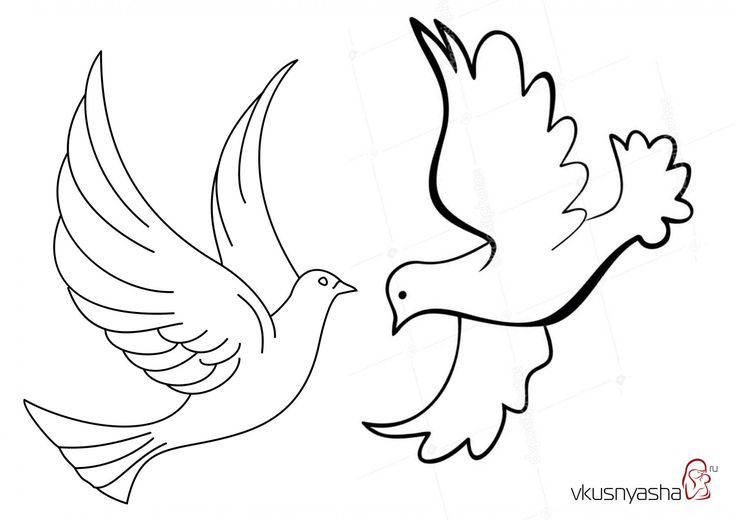 Голубь рисунок