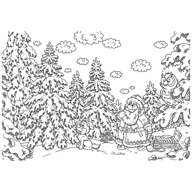 Лес раскраска для детей