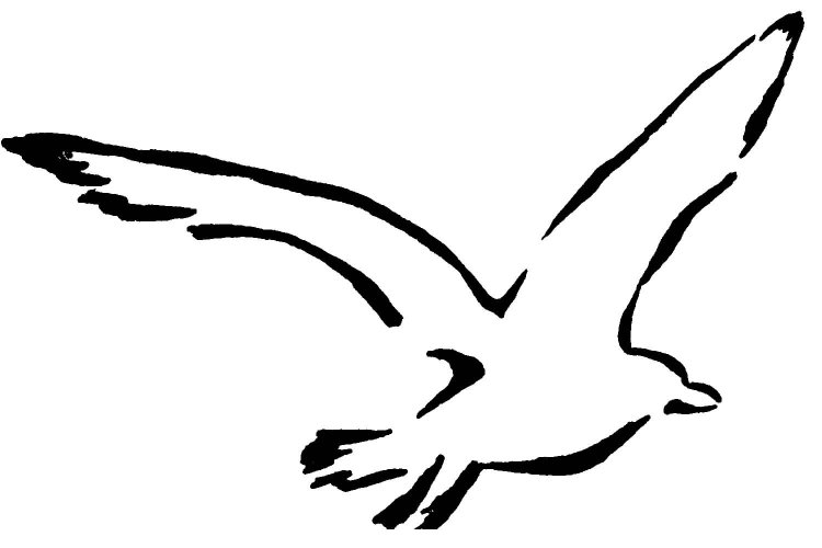 Трафарет Чайки