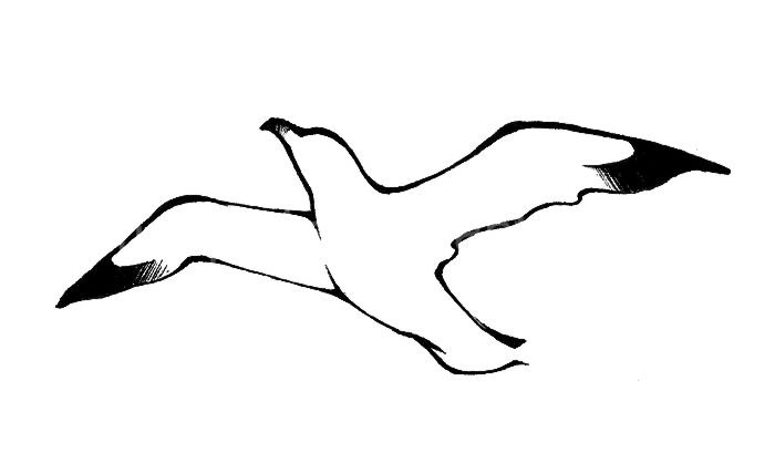 Шаблон Чайки