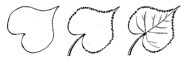 Листья карандашом