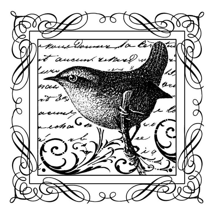 Монохромное изображение