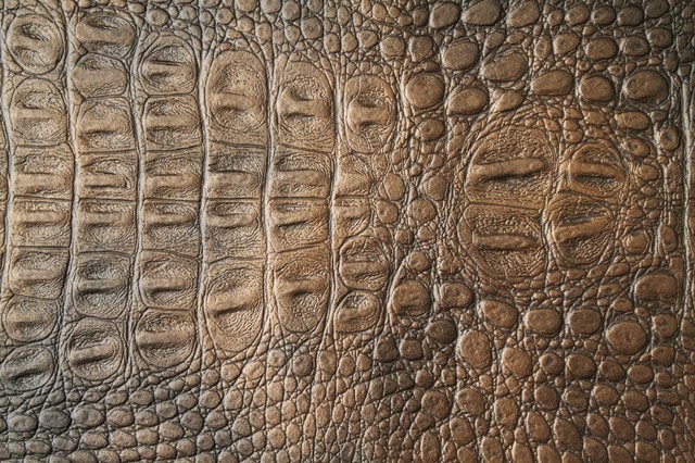 Крокодилья кожа текстура