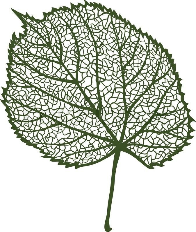 Липовый лист трафарет