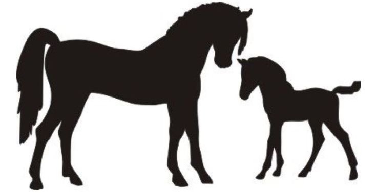 Лошадь с жеребенком силуэт