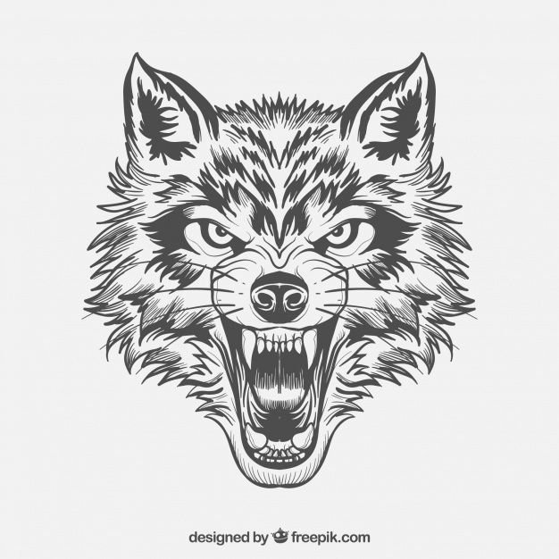 Волк скалится тату эскиз