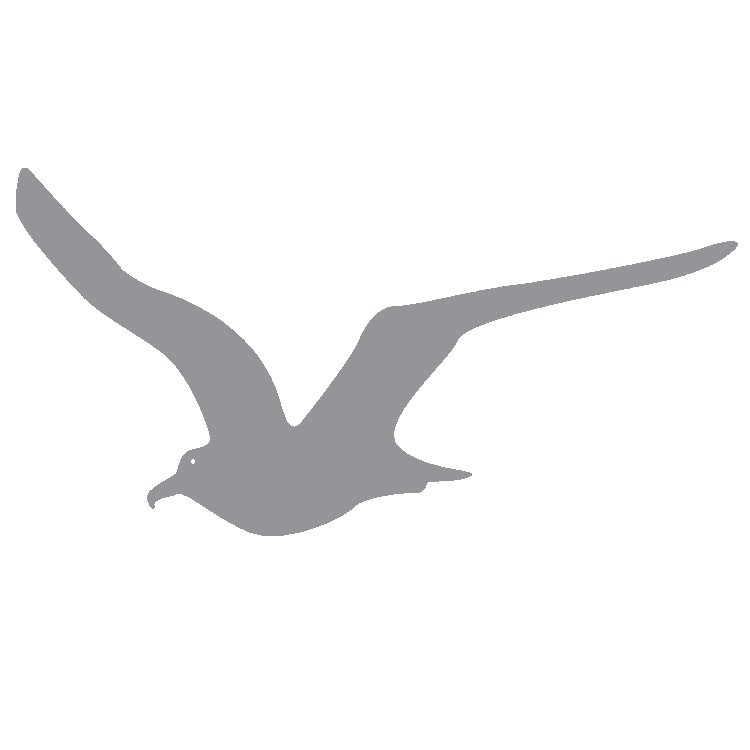 Силуэт Чайки