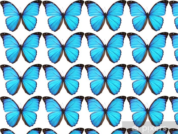 Синие бабочки для печати
