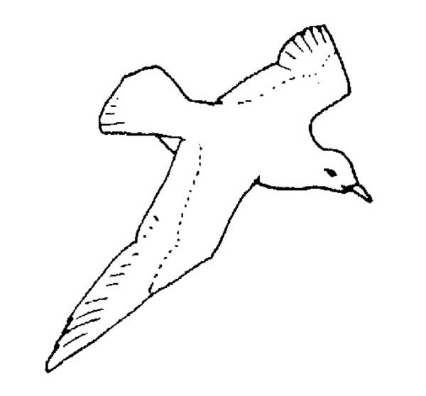 Шаблон Чайки