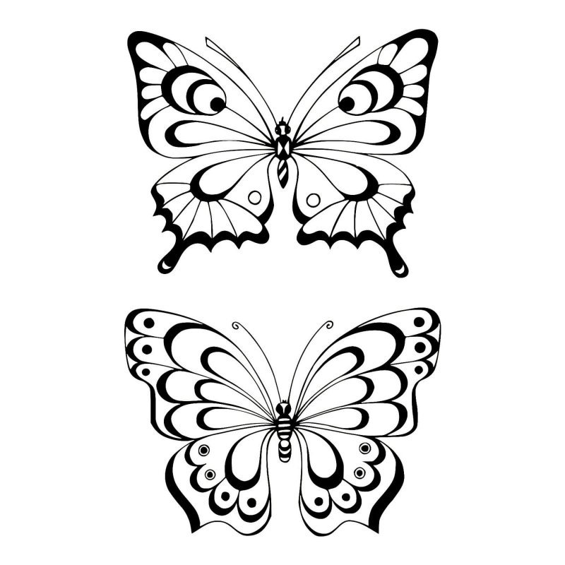 Контур бабочки для вырезания трафарет