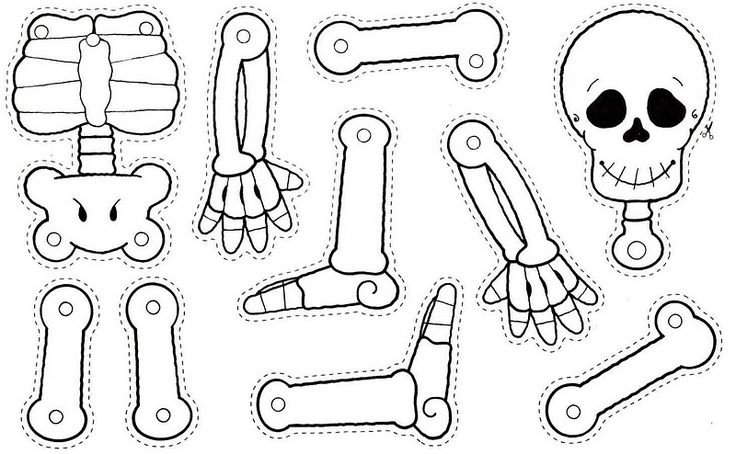 Раскраска скелет