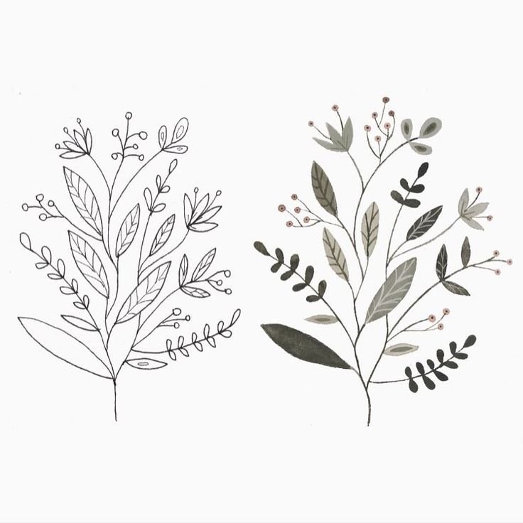 Трафарет Ботанический