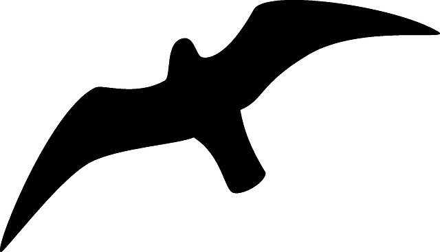 Силуэт птицы