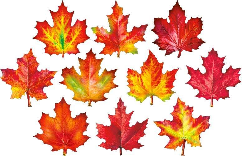 Кленовый лист