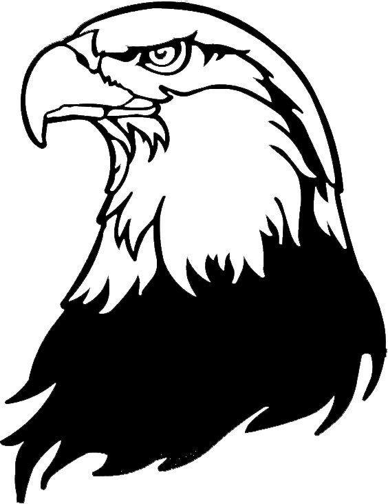 Орел рисунок