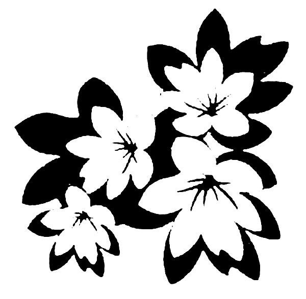 Цветок Сакуры трафарет