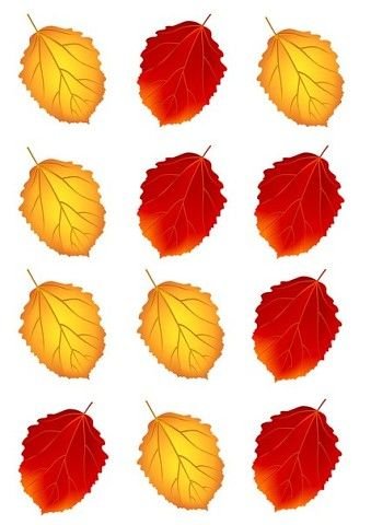 Цветной лист