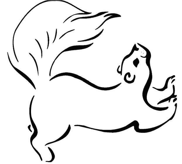 Белочка раскраска для детей