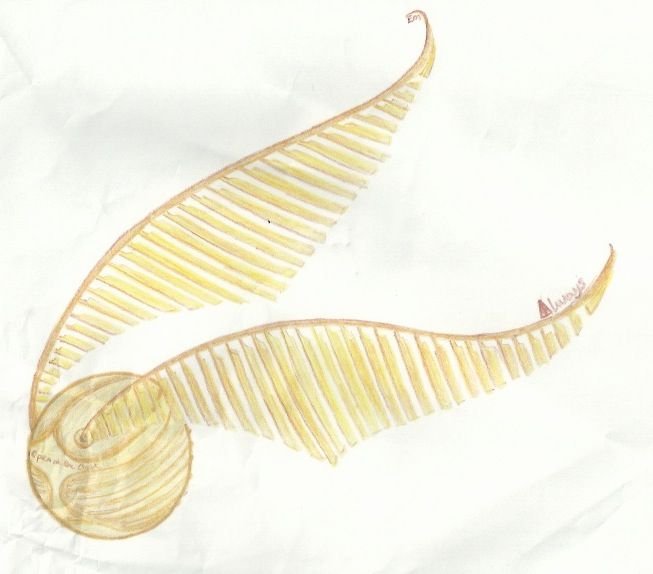 Золотой снитч Гарри Поттер рисунок