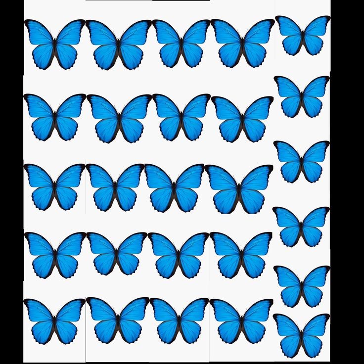 Бабочки для распечатки голубые