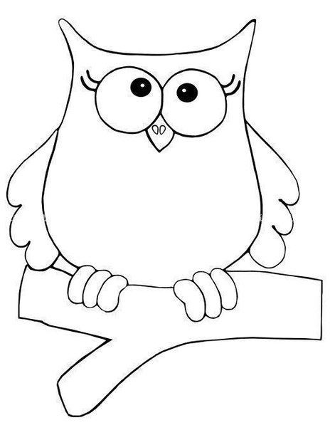 Контур Совы для аппликации