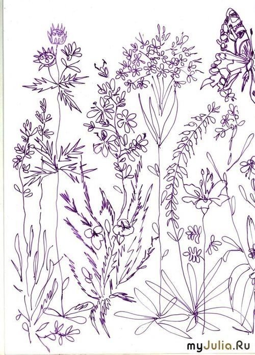 Трафарет для вышивки гладью полевые цветы