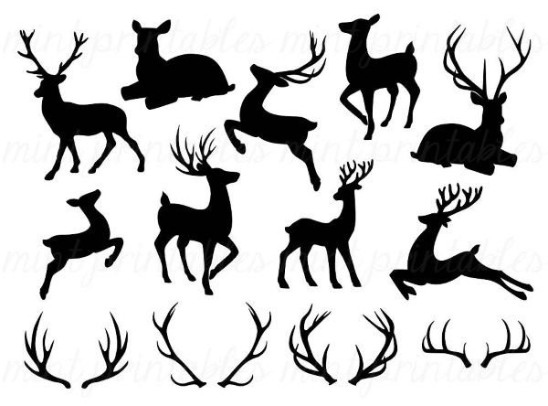 Олень контур