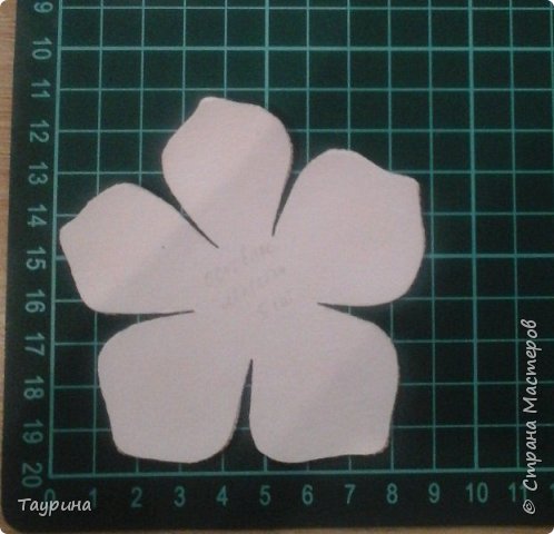 Шаблоны цветов из фоамирана