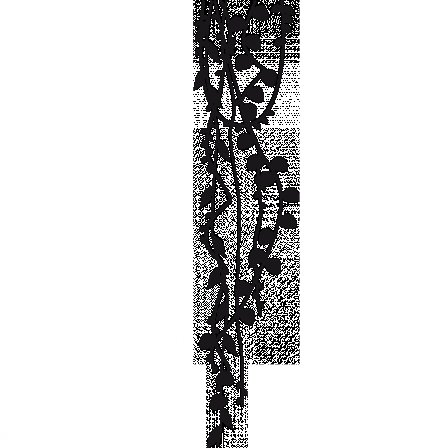 Трафарет лианы