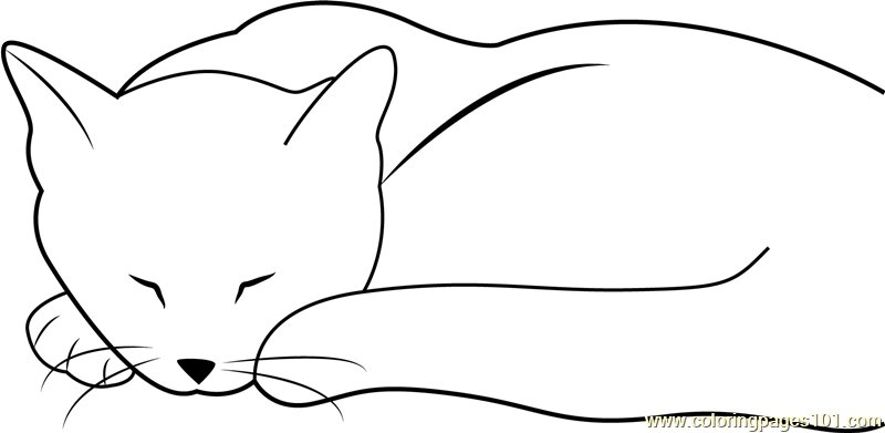 Рисунок спящей кошки