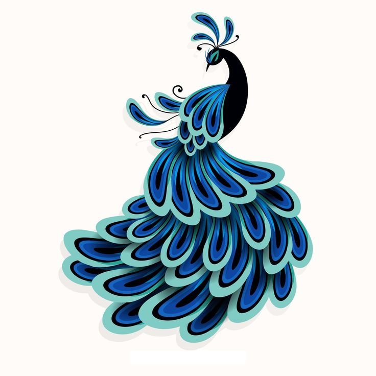 Павлин рисунок