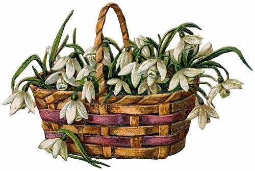 Подснежники в корзиночке