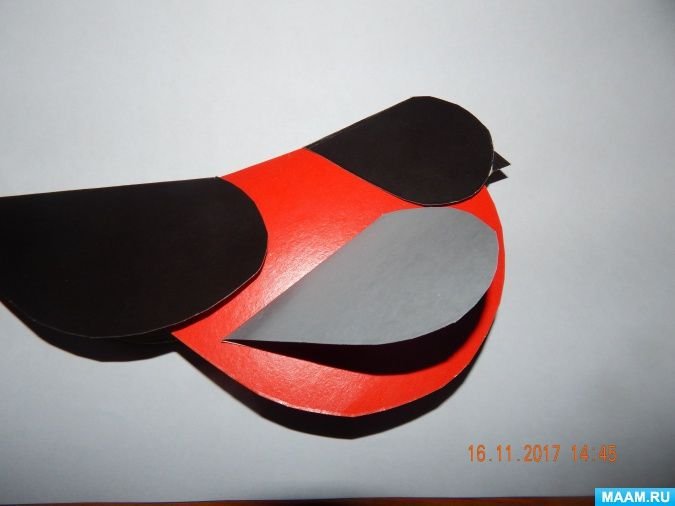 Конструирование Снегирь