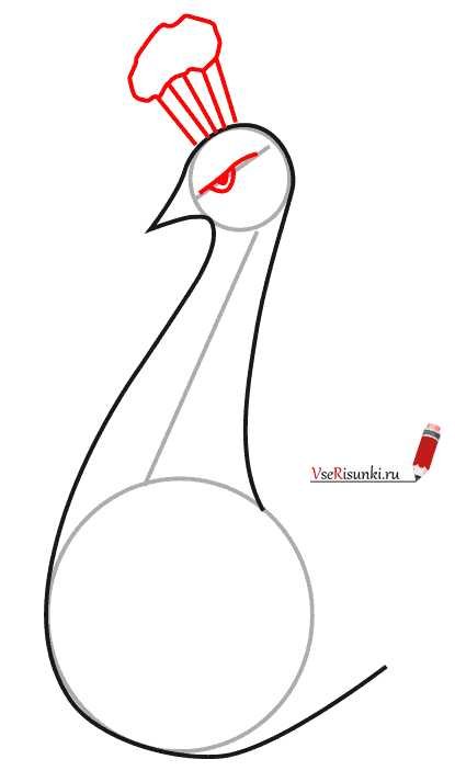 Туловище павлина