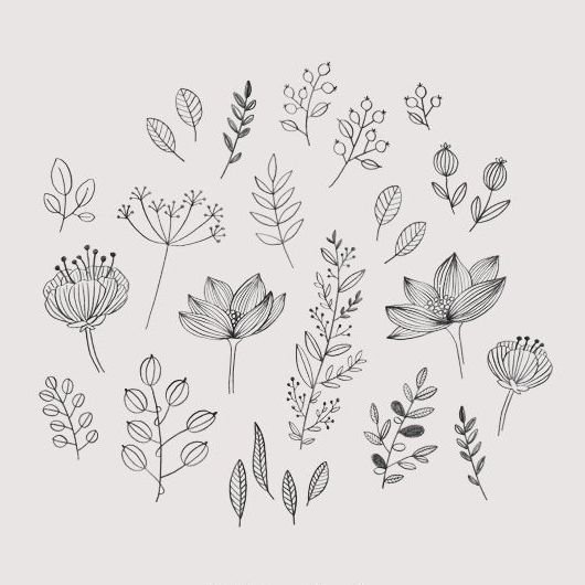 Растения Минимализм эскиз