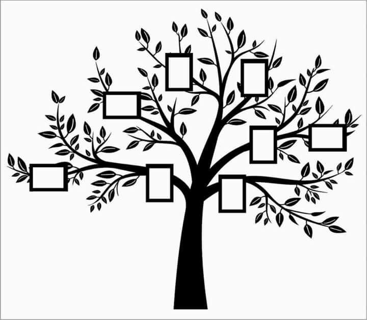 Силуэт дерева